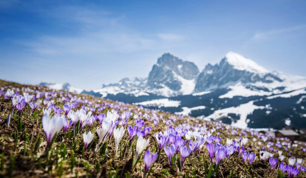 dolomites val gardena192